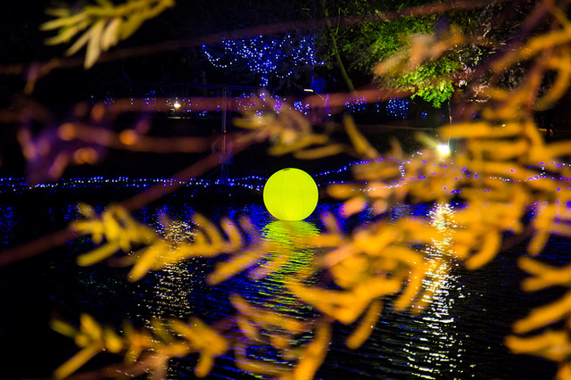 【景點】 台南真有春 2013鹽水月津港燈節 美呆了! 湖畔賞明月燈河