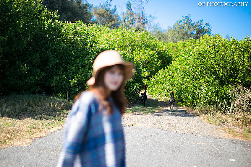 【外拍】 妻の写真 四草秘境 Canon 6D+Sigma 50mm F1.4 首次合體拍攝!