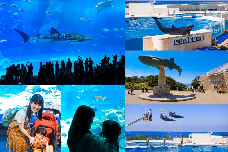 【沖繩遊記】美麗海水族館 必訪景點！超大水族箱、免費海豚秀！終於帶小邦妮重遊求婚地！