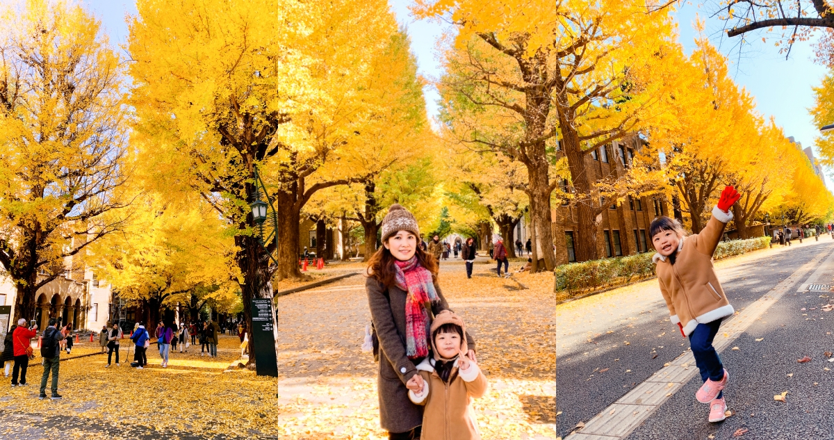 【東京遊記】東京大學銀杏大道 秋天市區最夯拍攝銀杏景點！保證快門按不停！